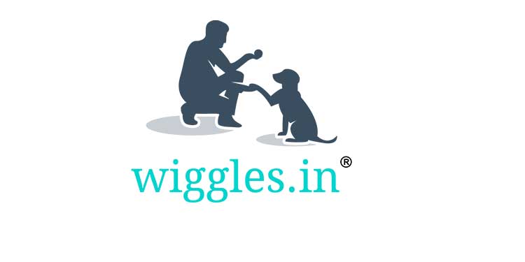 Wiggles.in celebrates Valentine's Day with pets with its heartwarming # ...